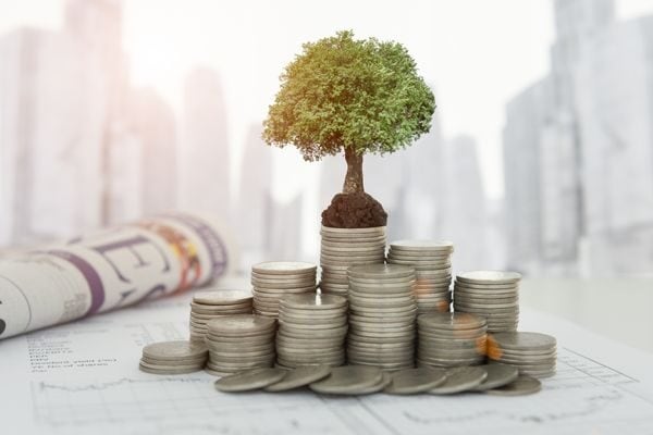 tree on coins