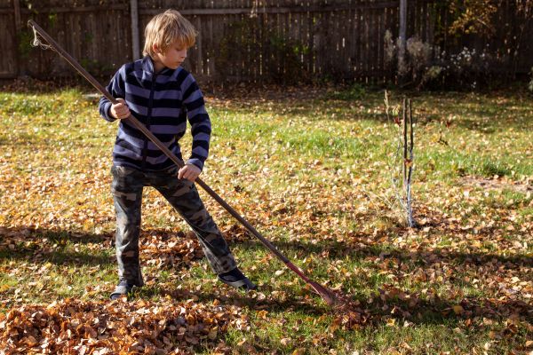 kid raking leaves; quick good ways kids can make money fast