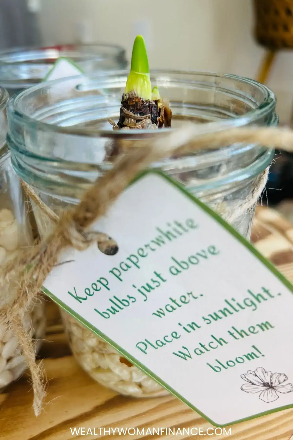 paper white; minimalist christmas gift