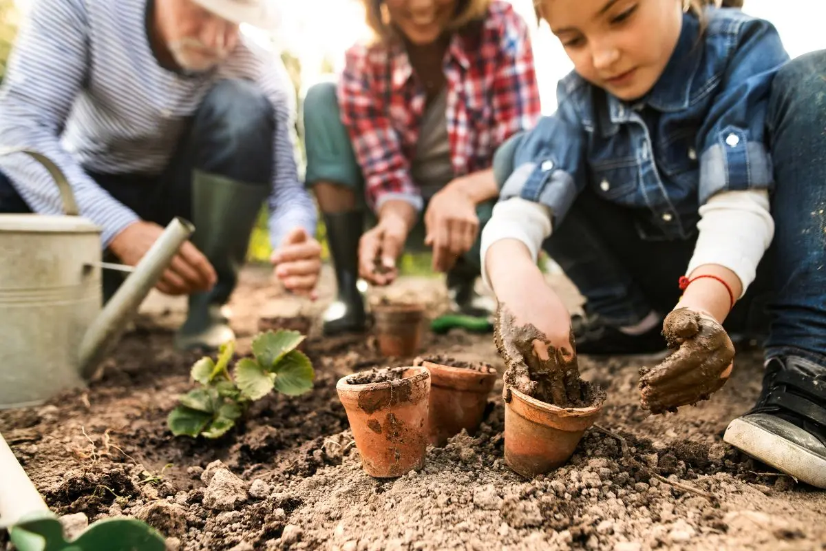 kids planting in the garden