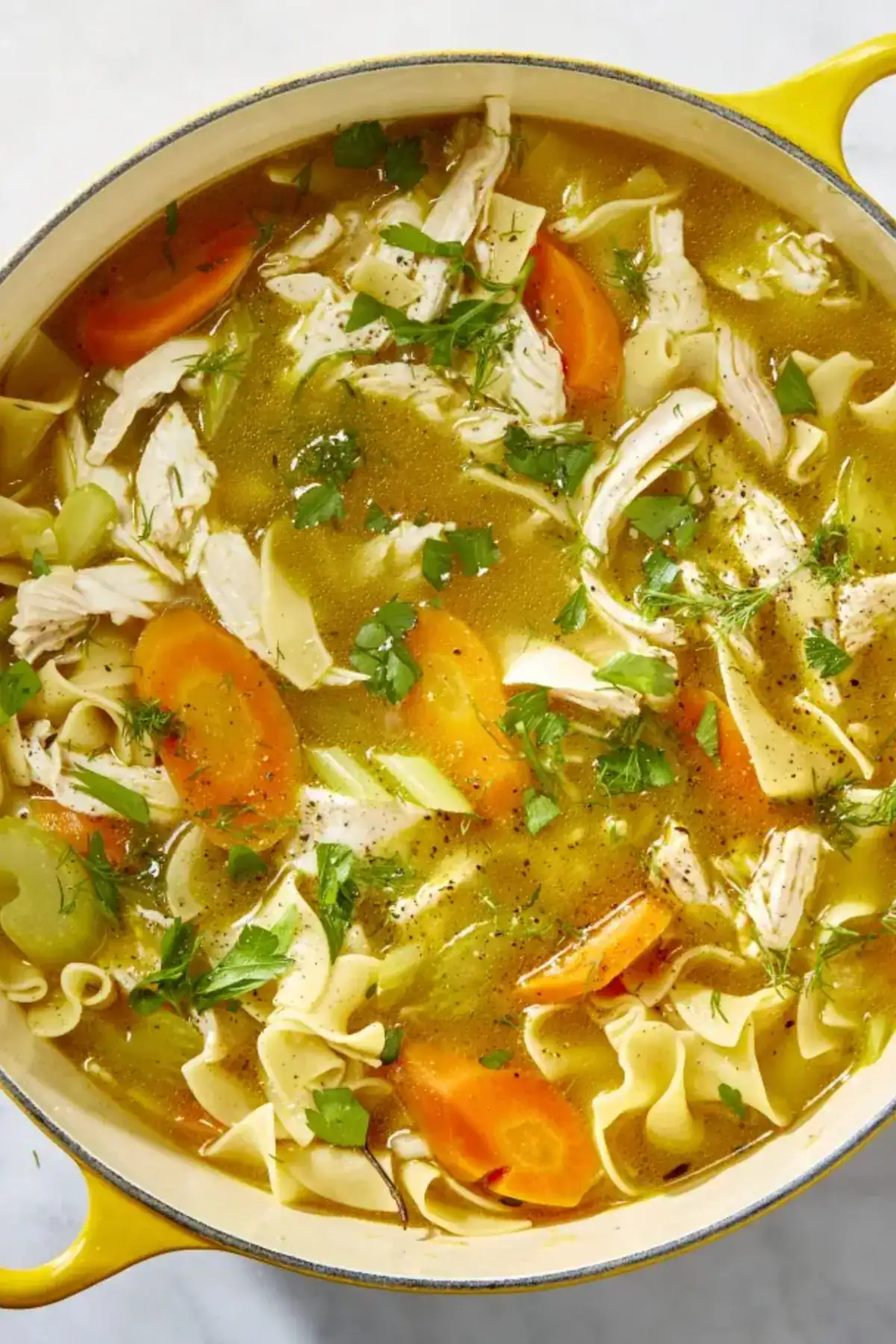 leftover turkey noodle soup recipes