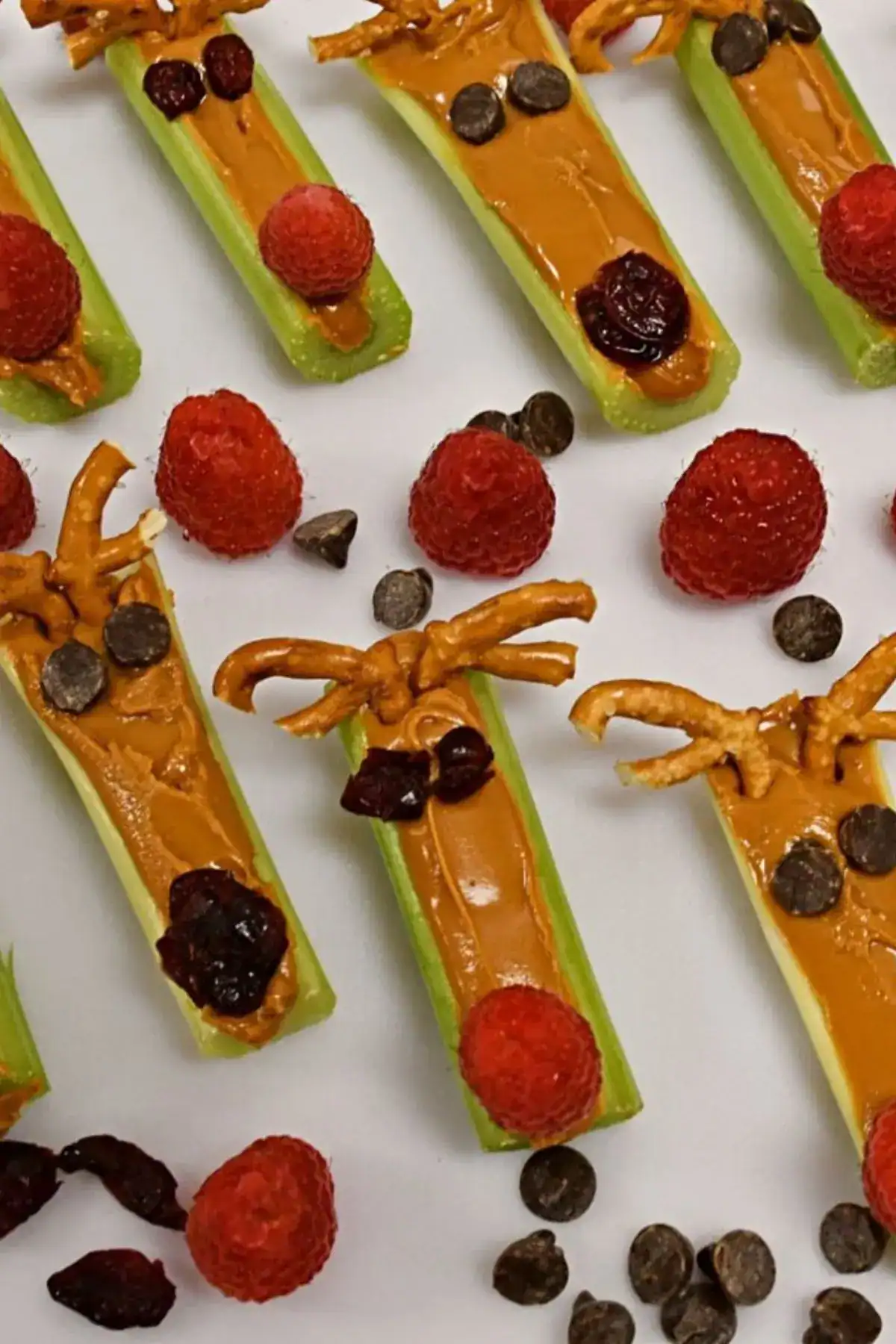 ants on a log reindeer