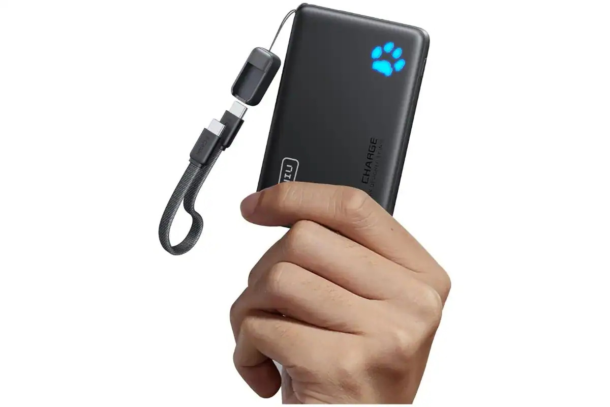 portable phone charger; cheap coworker Christmas gift ideas