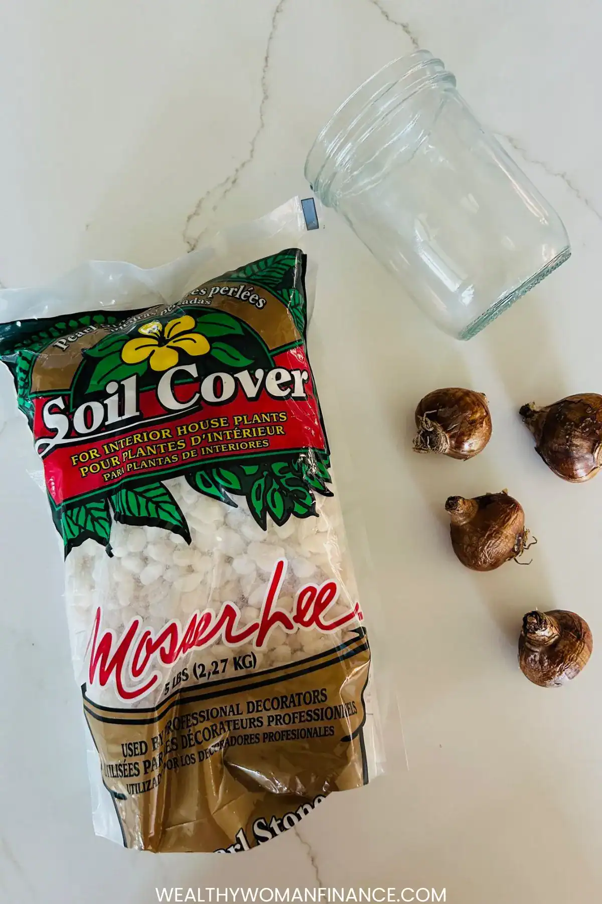 pebbles, paperwhites, mason jar