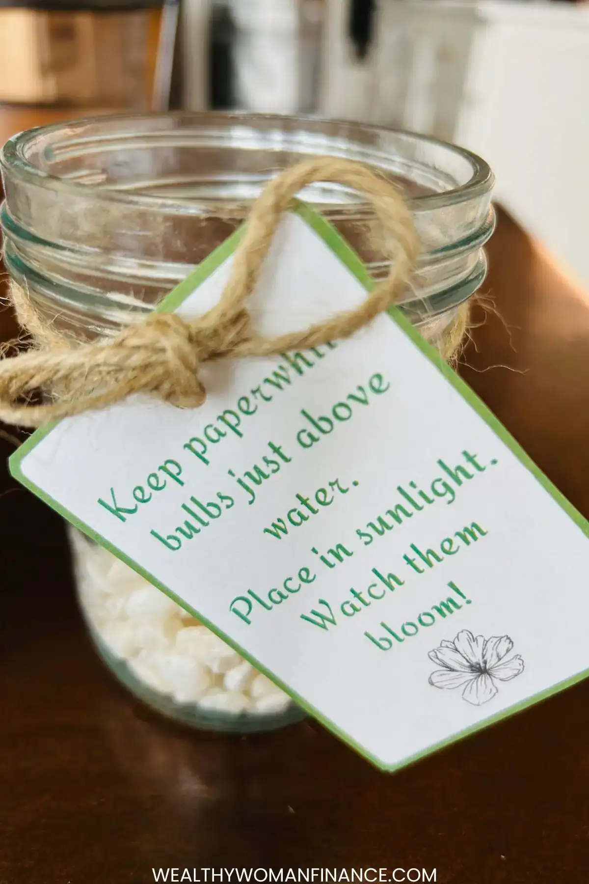 DIY paperwhite flower bulb gift ideas