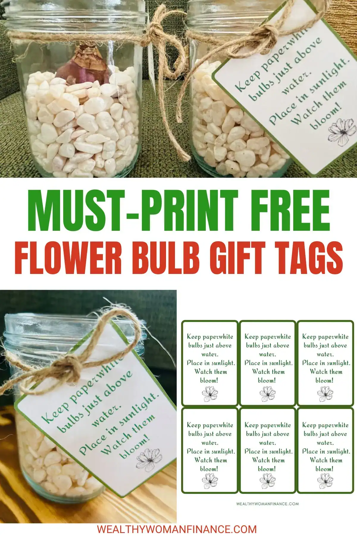 paperwhite bulb instructions printable tag